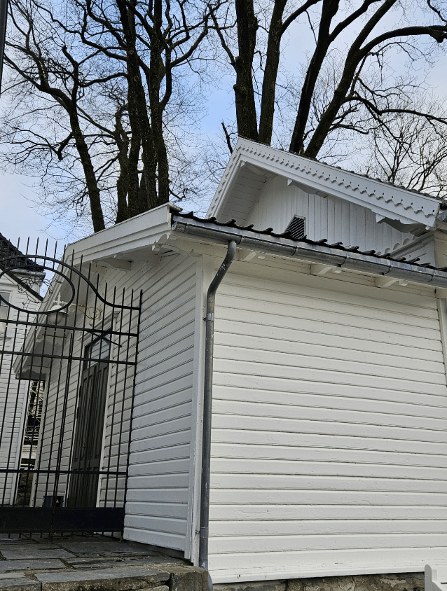 White house with trees nearby