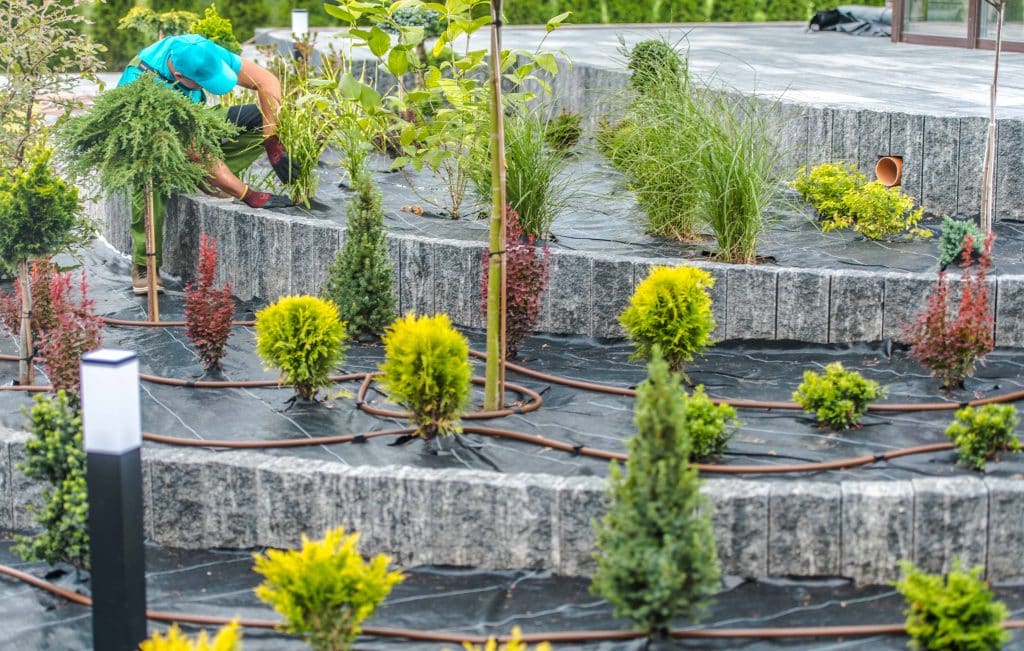 Hage landskap og utendørs